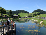 Der Fischteich am oberen Ende des Hexenwassers