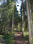 ... dann marschieren wir in den Hexenwald.