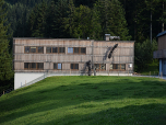 Riesige Ameisen klettern über die Fassade dieses Hauses