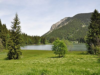 Blick zum nördlichen Ufer und den Jägerkamp-Ausläufern