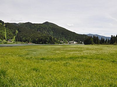 Blick vom Firstgraben zum Ostufer