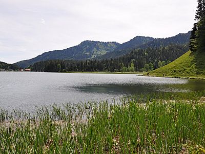 Blick von Nord nach Süd über den Spitzingsee