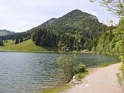 Blick über den See zur Brecherspitz 1685 m