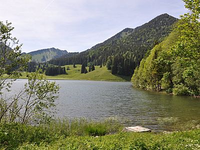 Blick auf das Westufer