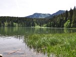 Direkt am Ufer haben...