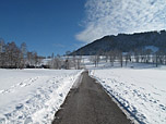 Der Weg führt uns in östlicher Richtung aus Gmund heraus...