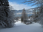 ...und Lichtungen mit Blick zum Tegernsee...