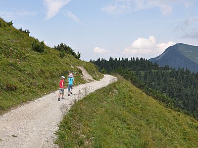 Wir marschieren weiter zum Gipfelkreuz des Ameisberg