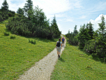 ... auf dem gut ausgebauten Wanderweg.