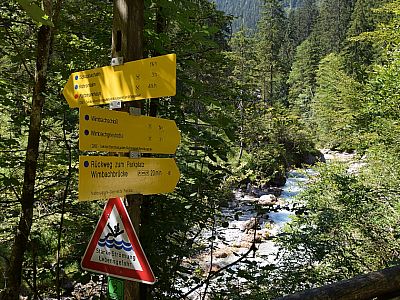 ... zurück auf den Hauptweg