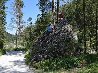 Natürlich werden auch die Felsen am Wegesrand erkundet