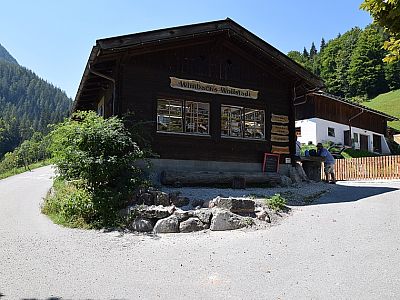 Hinter dem Wimbacher Wollstadl...