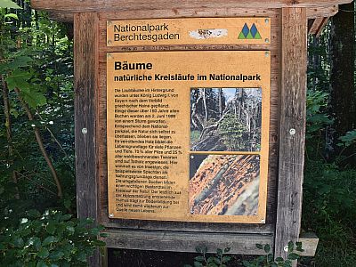 Auch hier können wir viel über die Natur erfahren