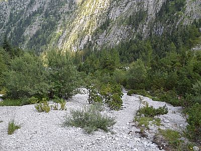 ... bevor wir links, weglos Richtung Bachbett marschieren.