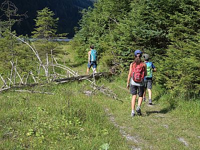 Diesem folgen wir, ...