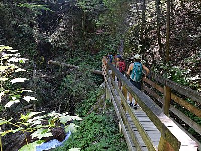 Auf einem bequemen Steg betreten wir das Geotop