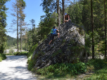 Natürlich werden auch die Felsen am Wegesrand erkundet