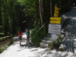 Nach einer Weide zweigt links der Weg zur Wimbachklamm ab