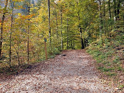 Über einen Forstweg geht es recht gemütlich weiter