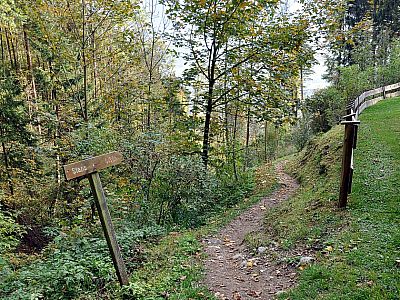 Über einen Pfad steigen wir weiter ab ...