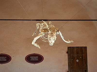 Kunst in der Zisterne