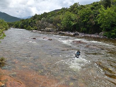 Auch der Hund genießt das kühle Nass