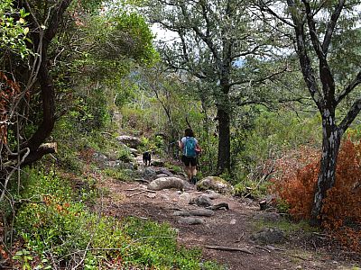 Durch urige Wälder führt uns der Pfad weiter flussaufwärts