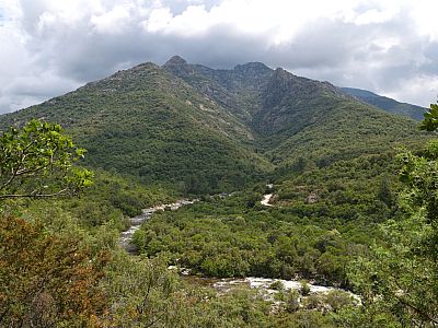 Die Landschaft wird hügliger