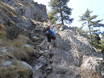 Es wird zunehmend felsiger
