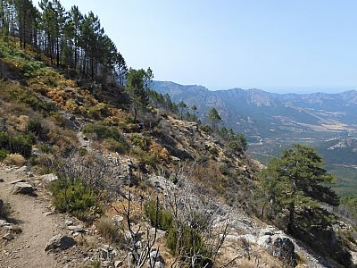 Der Weg schlängelt sich am Hang entlang