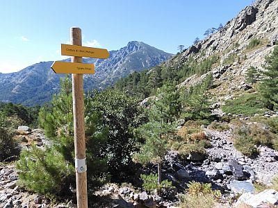 Gestärkt geht es recht bequem weiter Richtung Refuge de Ciottulu di i Mori