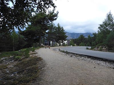 ... die Straße und schließlich ...