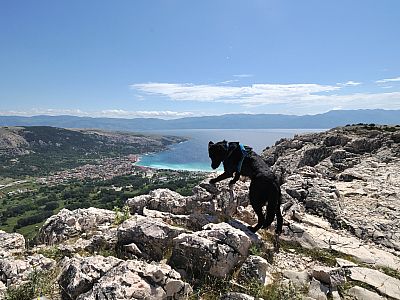 Nur der Wind, der über die Kante bläst ist selbst für 4-Beiner heftig