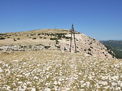 An einem Strommasten, ...