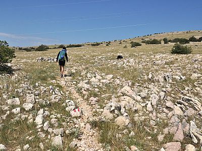 Nur leicht ansteigend marschieren wir weiter durch die steinige Landschaft