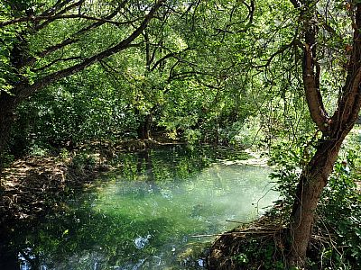 Hinter den Häusern beginnt der Pfad durch die Natur