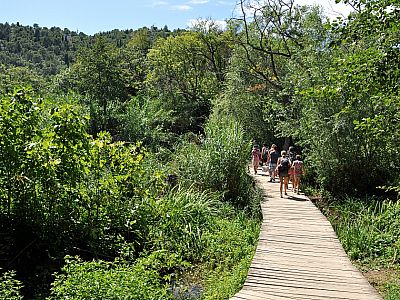 Bequem spazieren wir auf dem breiten Steg dahin