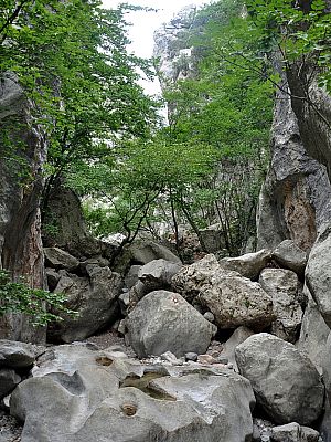 ... und vermittelt mit jedem Schritt...