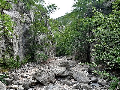 ... im steinigen Bachbett in den Paklenica Nationalpark