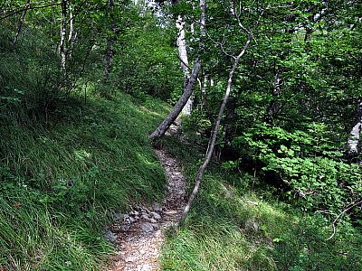 Der Weg führt weiter bergauf.