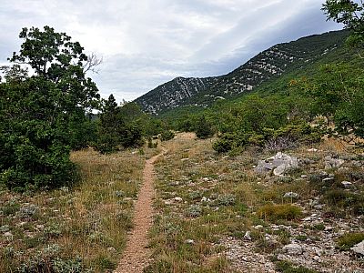 Auf den Steinen neben dem Weg...