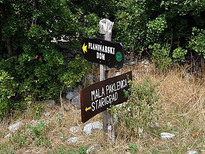 Hier halten wir uns zunächst wieder Richtung Starigrad