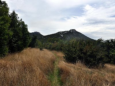 Relativ eben wandern wir nach Norden