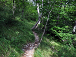 Der Weg führt weiter bergauf.