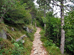 Durch den Wald steigen wir nach Nordwesten auf ...