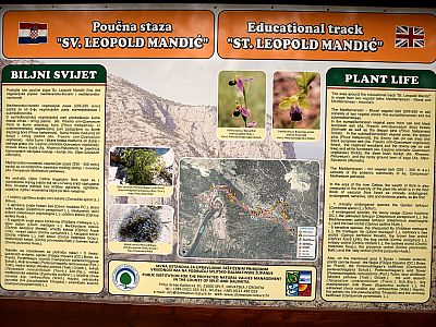 Informationen über die Pflanzenwelt 