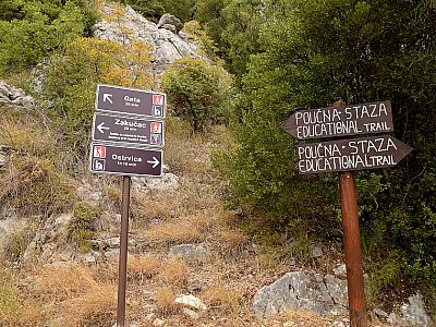 Hier steigen wir nach links (Westen) weiter auf.