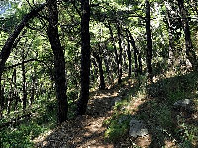 ...der Schatten ist eine willkommene Abwechslung.