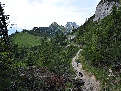 Im Sattel biegen wir links ab...