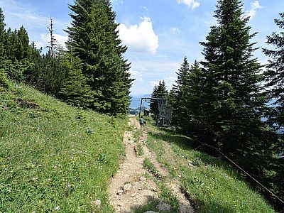 ... und spazieren Richtung Stiealm